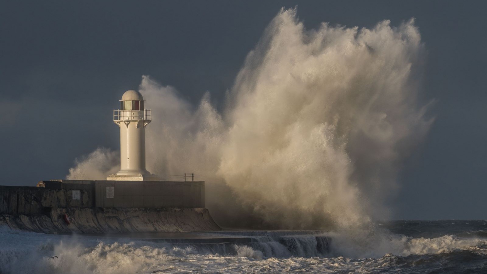 ΑΝΘΕΚΤΙΚΟΤΗΤΑ