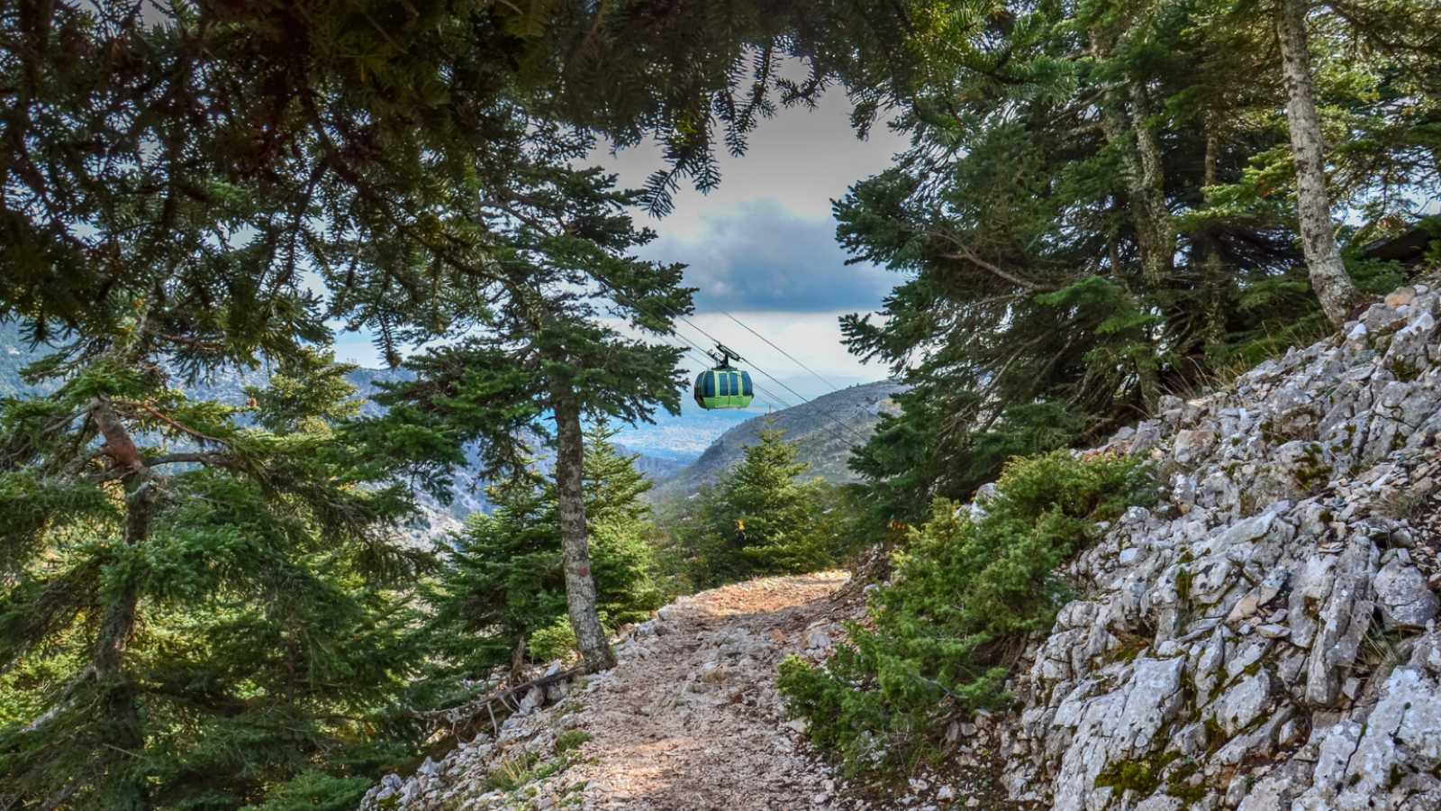 ΓΙΑΤΙ Η ΠΙΟ ΟΜΟΡΦΗ ΦΘΙΝΟΠΩΡΙΝΗ ΑΠΟΔΡΑΣΗ ΕΙΝΑΙ ΣΤΟ ΒΟΥΝΟ;