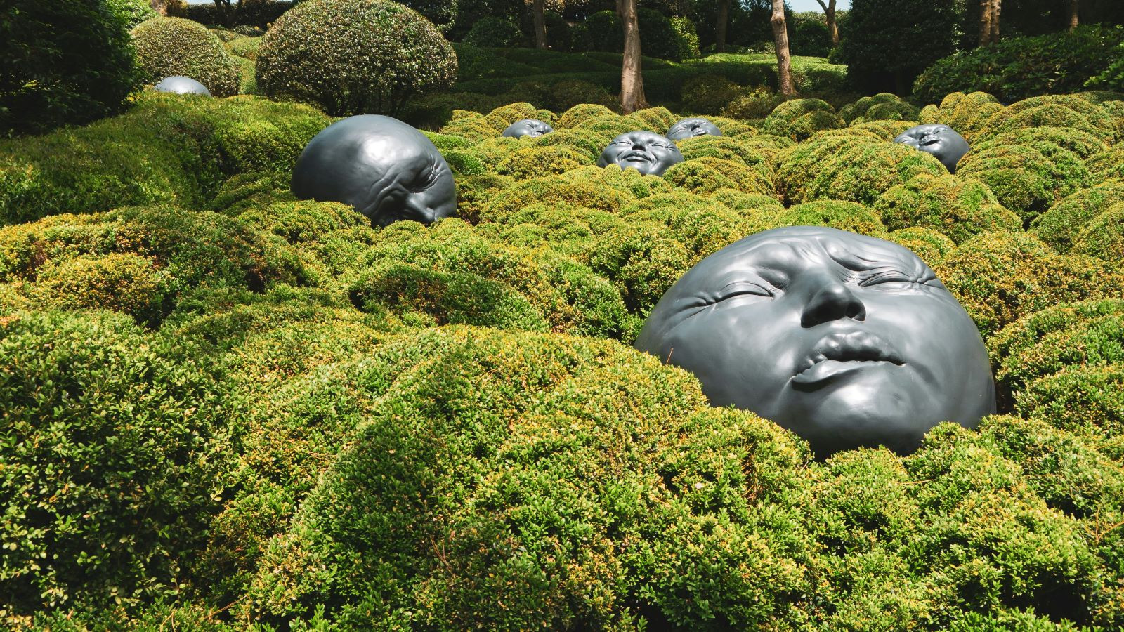 ΠΩΣ ΝΑ ΜΗΝ ΑΥΤΟΠΑΓΙΔΕΥΤΕΙΣ