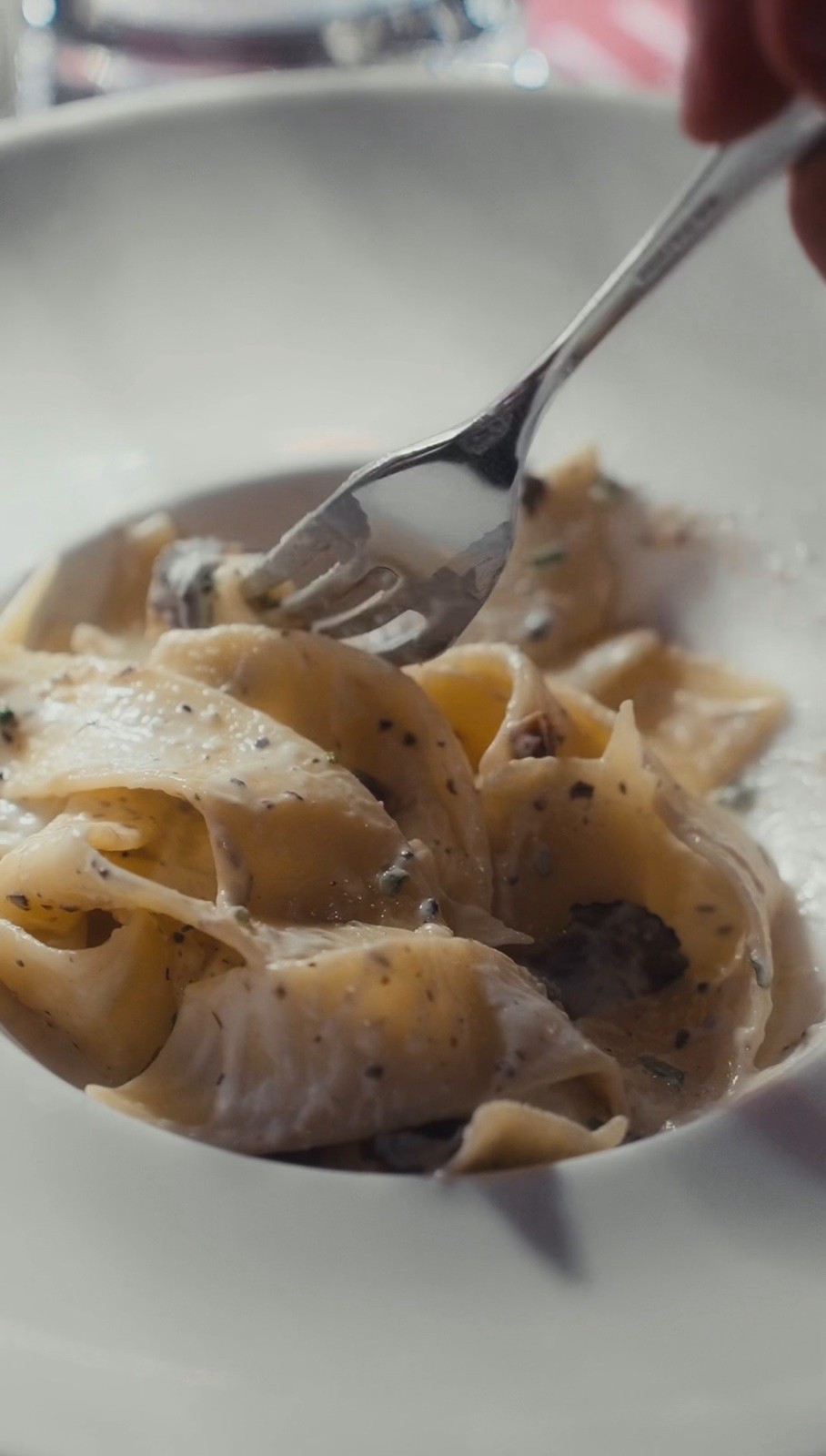 World Pasta Celebration